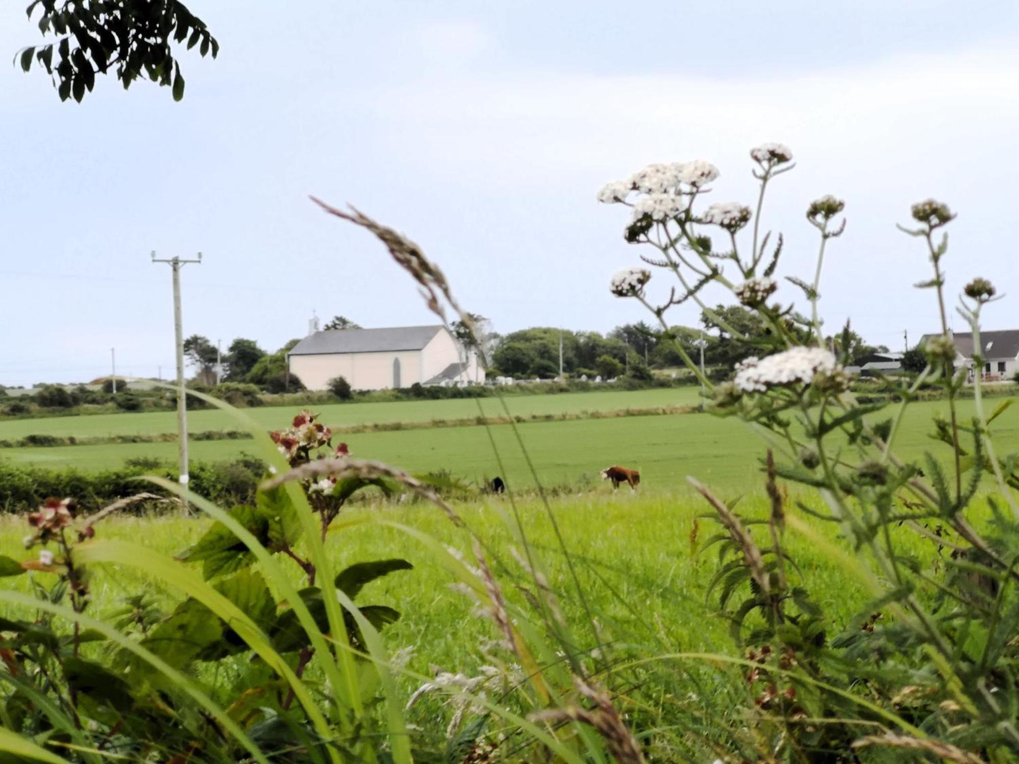 Roaringwater Stay Skibbereen Esterno foto